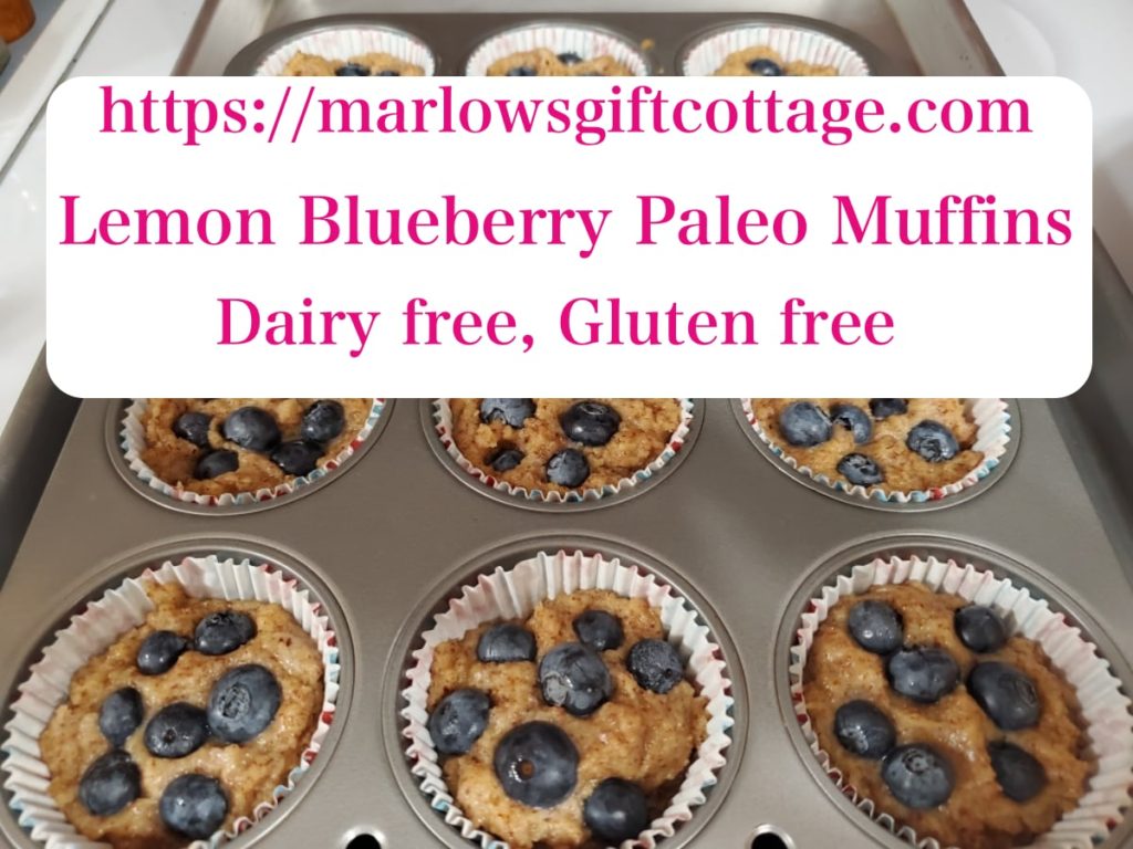 Lemon Blueberry Paleo Muffins recipe dairy free gluten free allergy friendly coconut almond flour healthy nutritious cake dessert