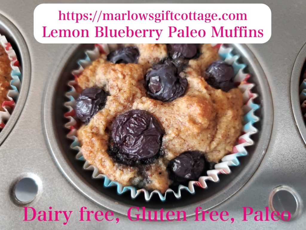 Lemon Blueberry Paleo Muffins recipe dairy free gluten free allergy friendly coconut almond flour healthy nutritious cake dessert