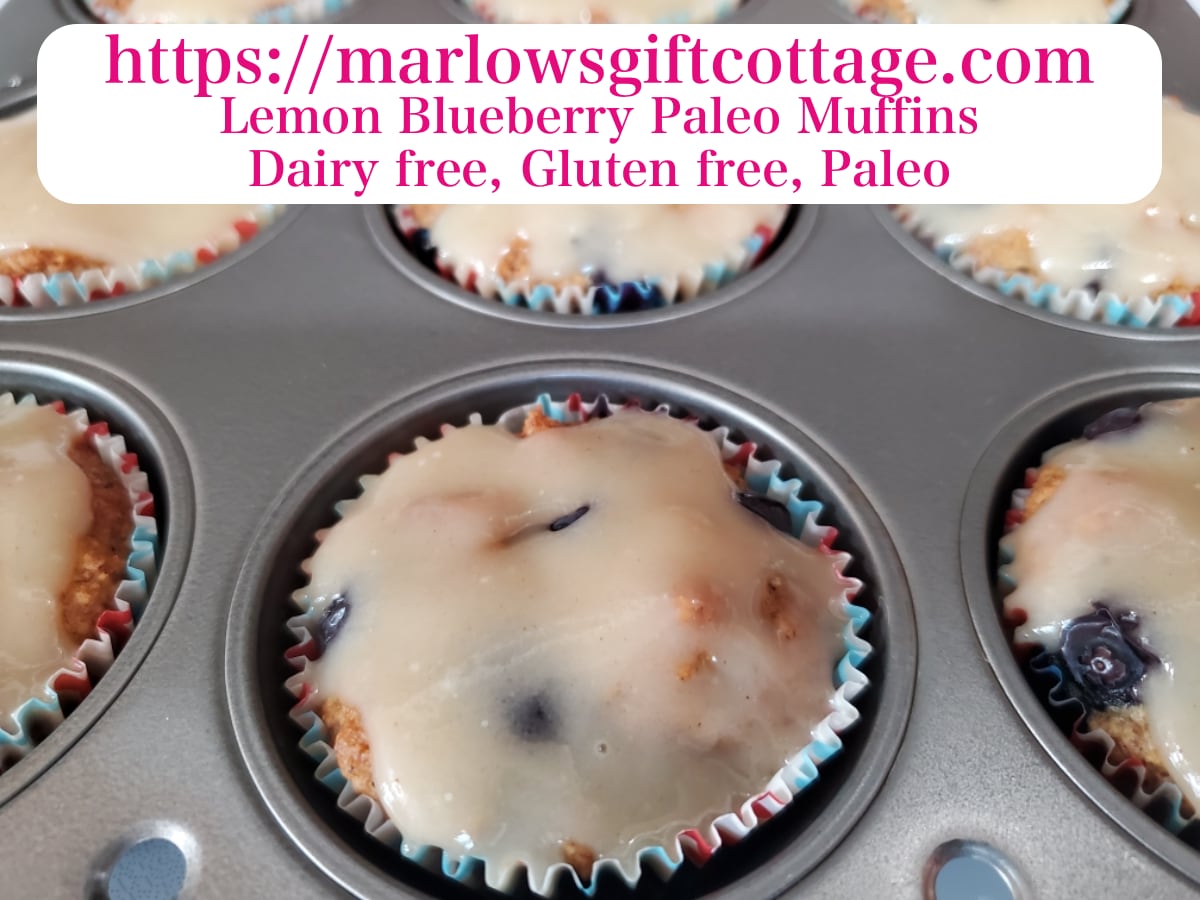 Read more about the article Lemon Blueberry Paleo Muffins Recipe