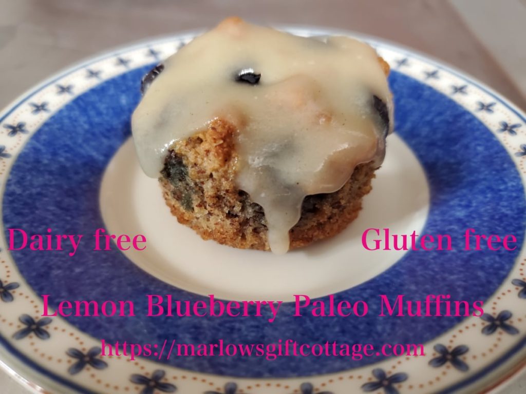 Lemon Blueberry Paleo Muffins recipe dairy free gluten free allergy friendly coconut almond flour healthy nutritious cake dessert