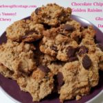 Gluten Free and Dairy Free, Chocolate Chips and Golden Raisins Cookies