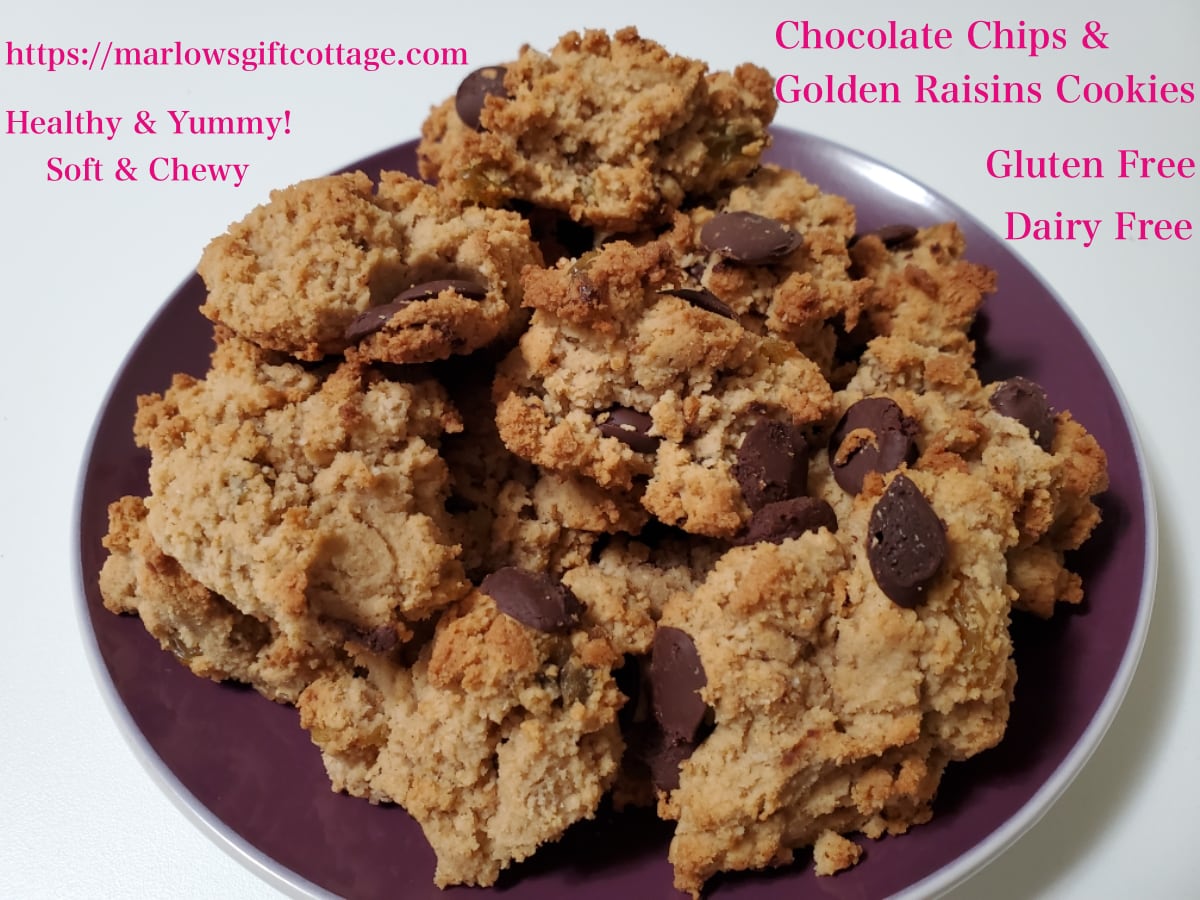 Read more about the article Gluten Free and Dairy Free, Chocolate Chips and Golden Raisins Cookies