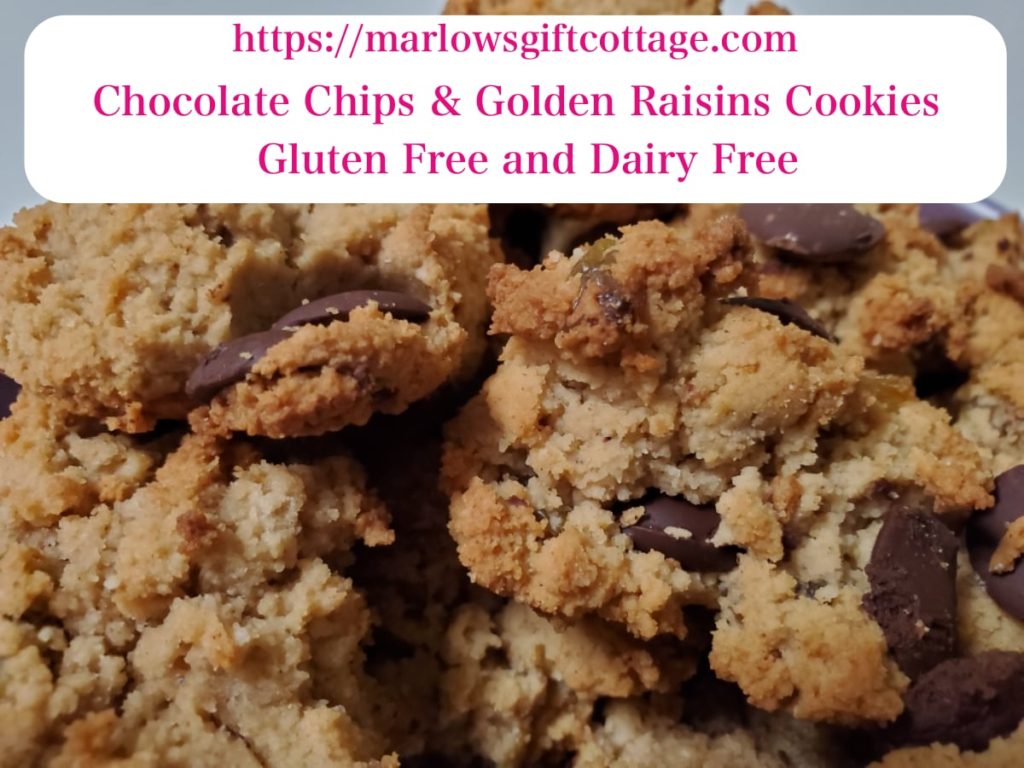 Chocolate Chips Golden Raisins Cookies Gluten Free Dairy Free Healthy Dessert Coconut Flour Almond Flour Cinnamon marlowsgiftcottage